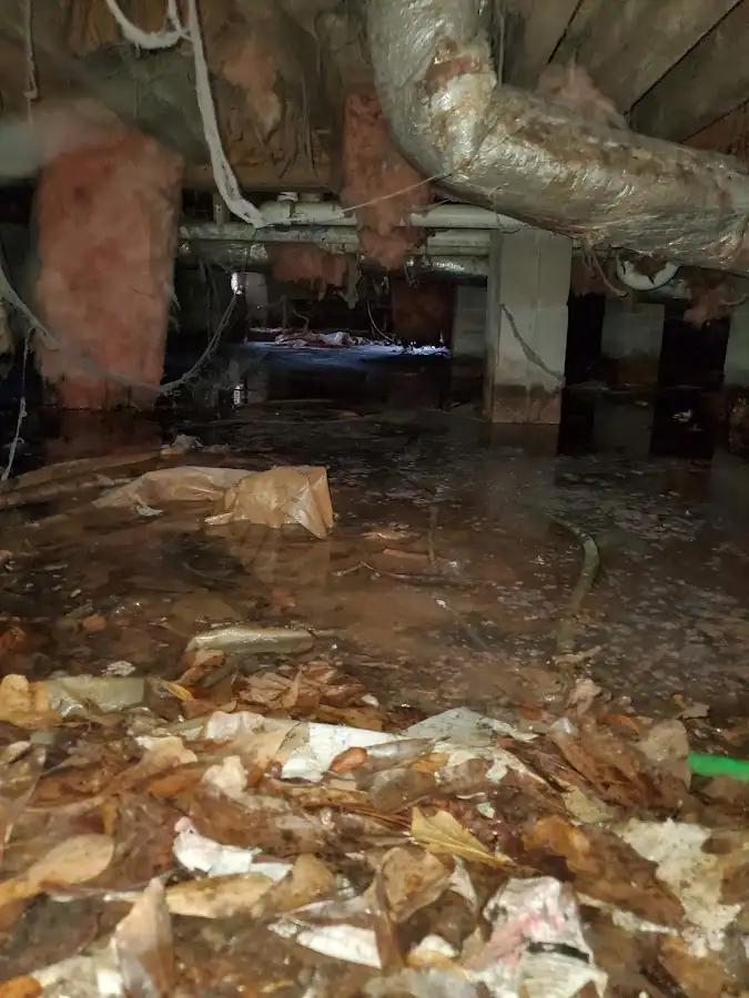 Crawl space flood assessment for Commercial Water Damage Restoration in Seven Hills