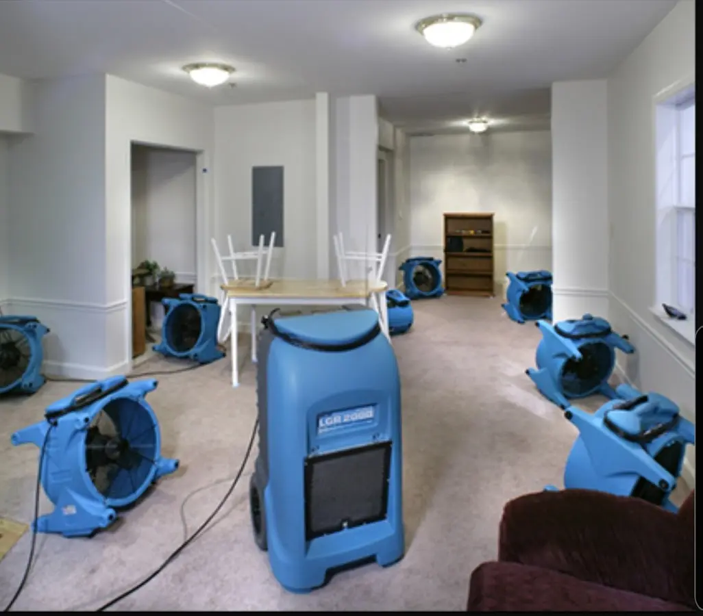 Air movers and dehumidifier setup for Water Extraction & Removal in Seven Hills