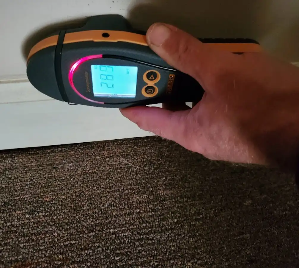 Moisture detection at baseboard during Sewage Cleanup & Sanitation in Seven Hills